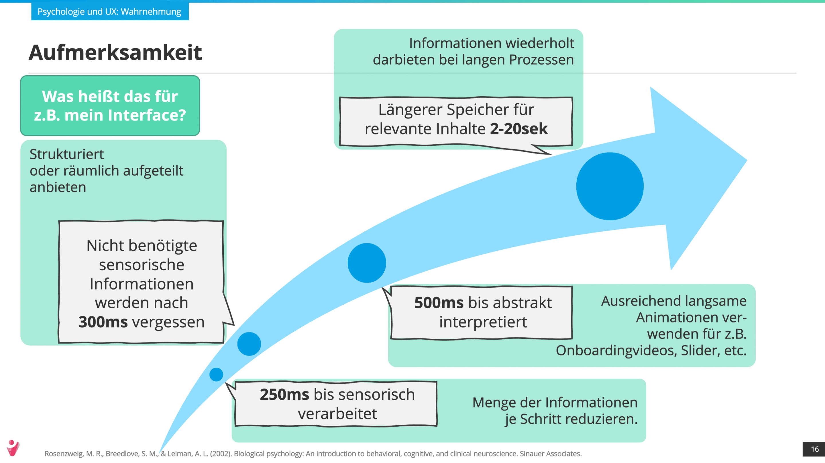 Es dauert 250ms bis Informationen sensorisch verarbeitet werden. Nicht benötigte Informationen werden nach 300ms vergessen. Die Menge der Informationen sollte daher reduziert, strukturiert und wiederholt dargeboten werden.